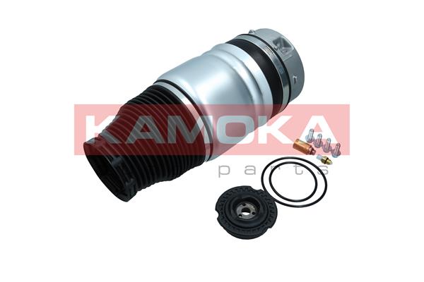 Air Spring, suspension (2079007)