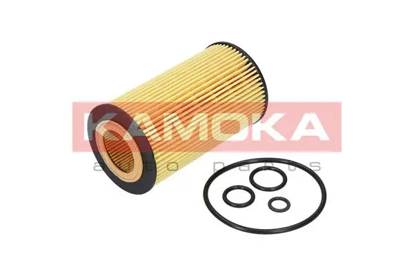Oil Filter (F108001)