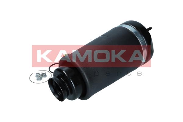 Air Spring, suspension