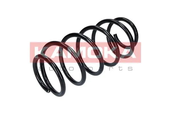 Suspension Spring (2110203)