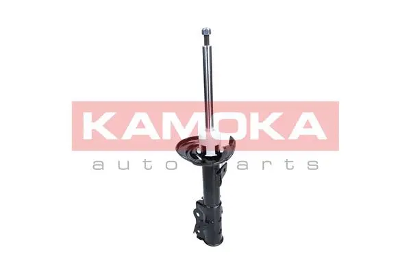 Shock Absorber (2000488)