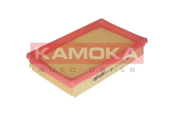 Air Filter (F213501)