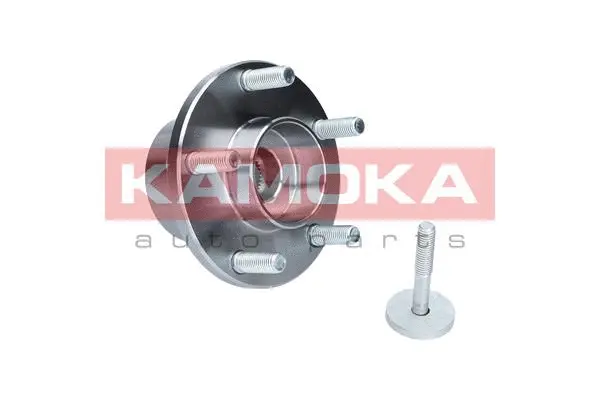Wheel Bearing Kit (5500065)