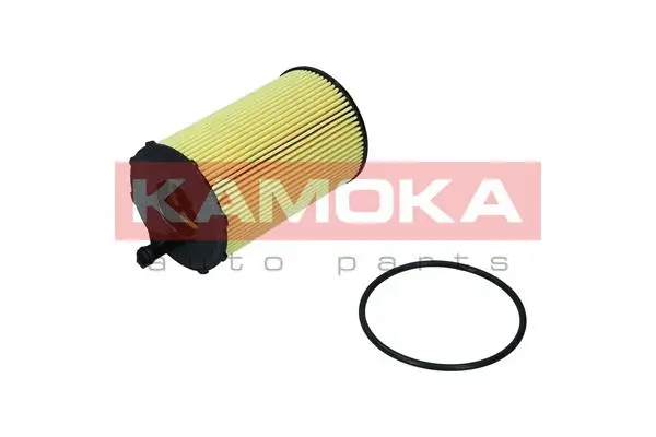 Oil Filter (F117701)