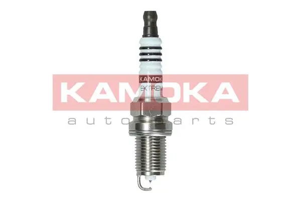 Spark Plug (7100045)