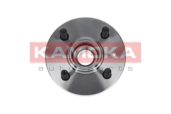 Wheel Bearing Kit (5500015)