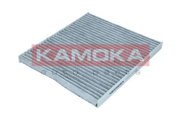 Filter, cabin air (F516701)