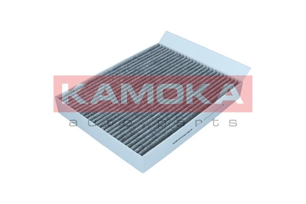 Filter, cabin air (F521801)