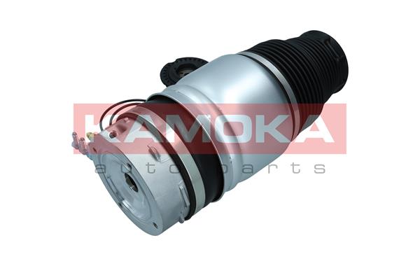 Air Spring, suspension