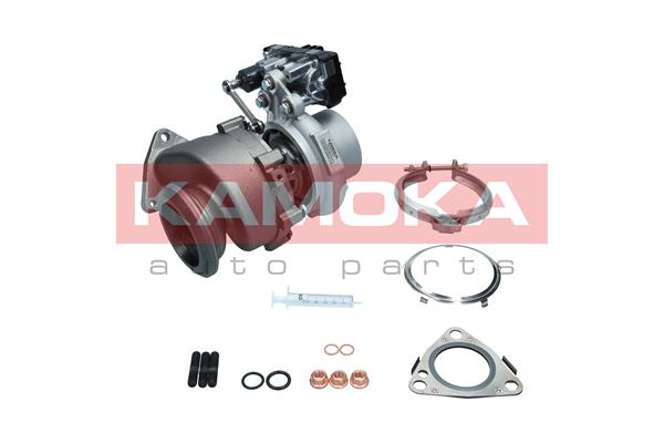 Charger, charging (supercharged/turbocharged) (8600045)