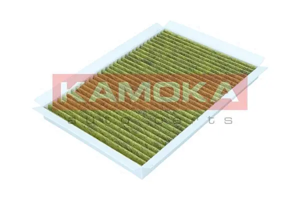 Filter, cabin air (6080142)