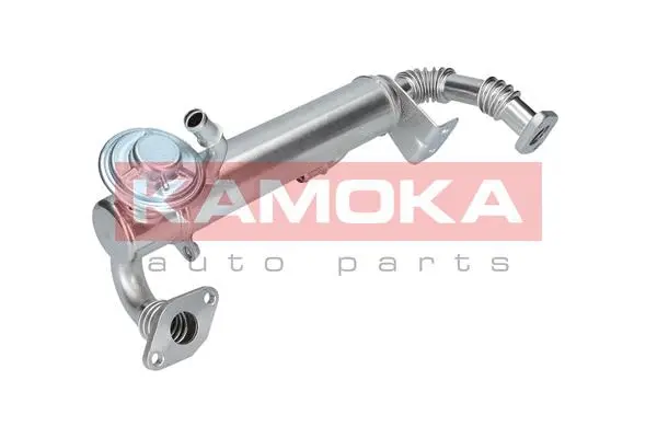 Cooler, exhaust gas recirculation