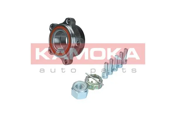 Wheel Bearing Kit (5500238)