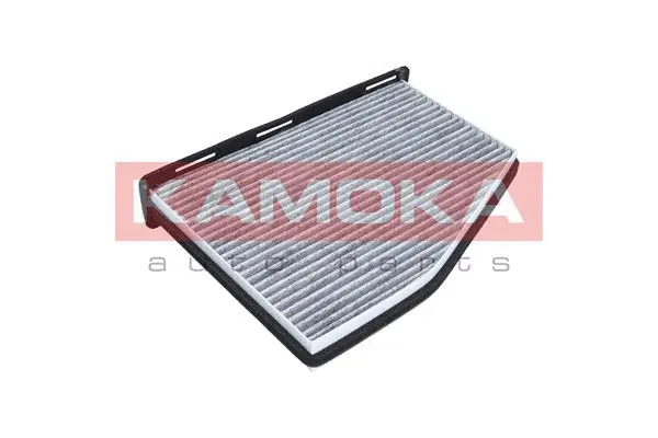 Filter, cabin air (F501701)