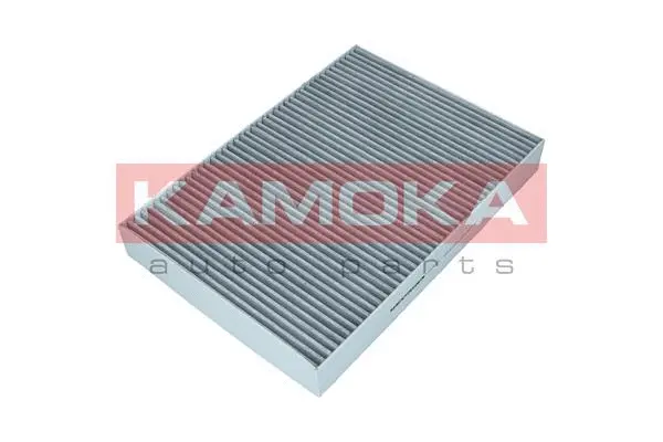 Filter, cabin air (F510401)