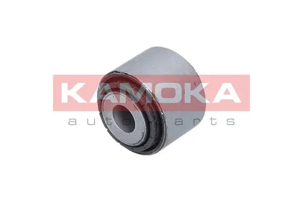 Mounting, control/trailing arm (8800488)