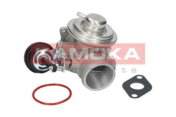 EGR Valve