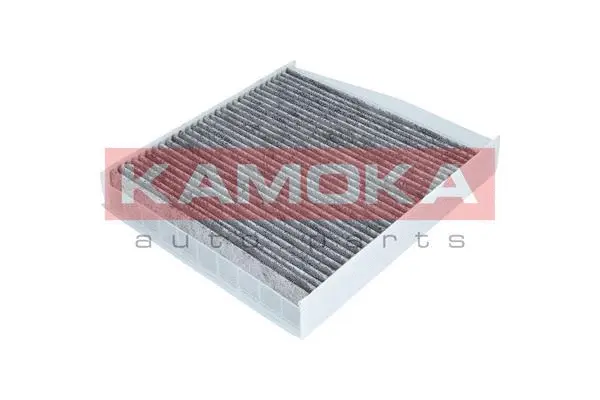 Filter, cabin air (F503701)