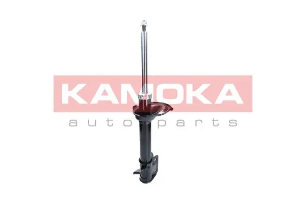 Shock Absorber (2000291)