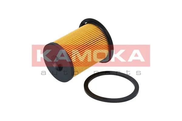 Fuel Filter (F307101)