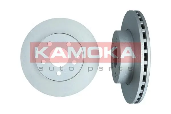 Brake Disc (1031017)