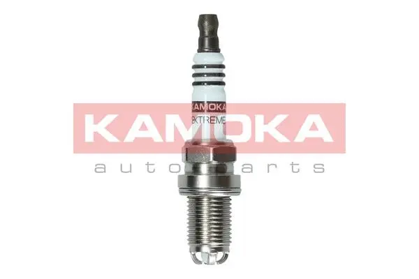 Spark Plug (7090025)