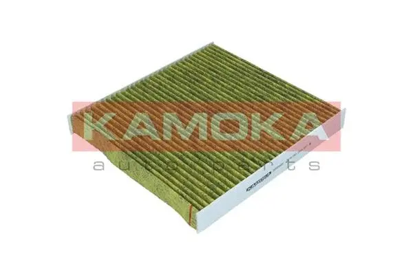 Filter, cabin air (6080069)