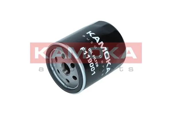 Oil Filter (F119001)