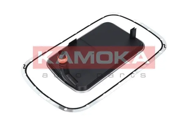 Hydraulic Filter Kit, automatic transmission (F602501)