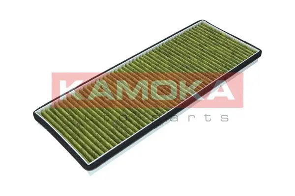 Filter, cabin air (6080006)