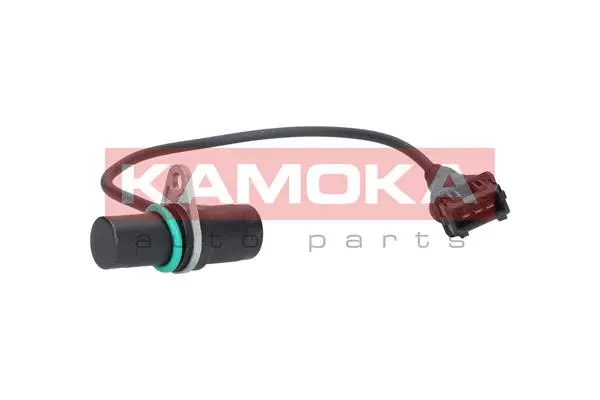 Sensor, camshaft position (108010)