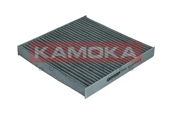 Filter, cabin air (F513301)