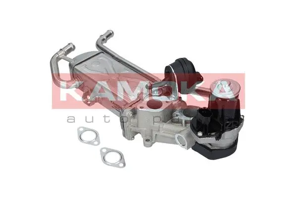 EGR Module