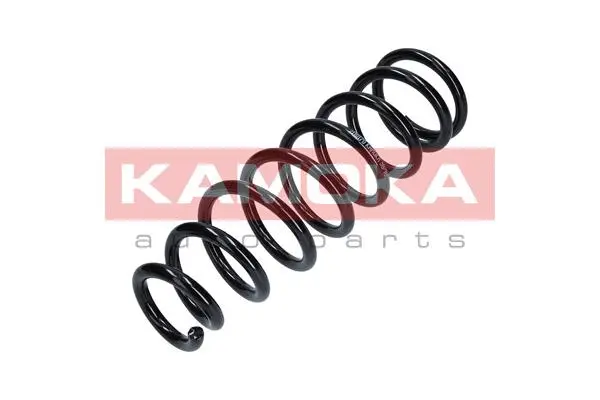 Suspension Spring (2110170)