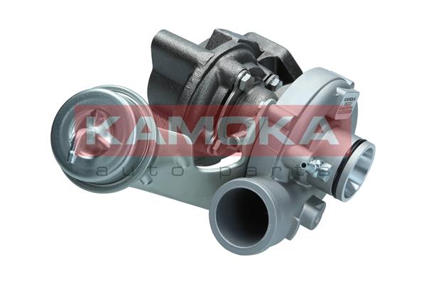 Charger, charging (supercharged/turbocharged)