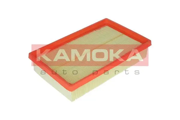 Air Filter (F224301)