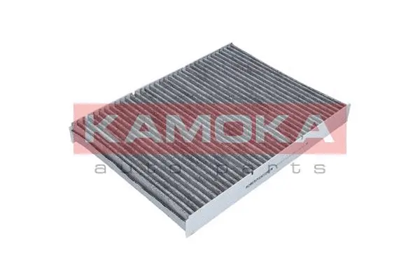 Filter, cabin air (F500401)