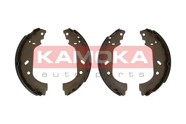 Brake Shoe Set (JQ202010)