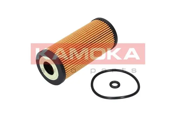 Oil Filter (F108801)