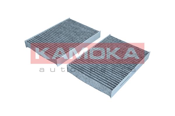 Filter, cabin air (F522201)
