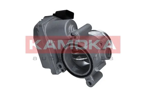 Throttle Body (112045)