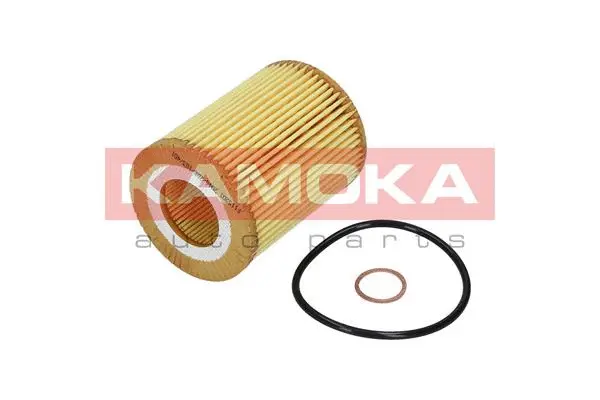 Oil Filter (F115201)