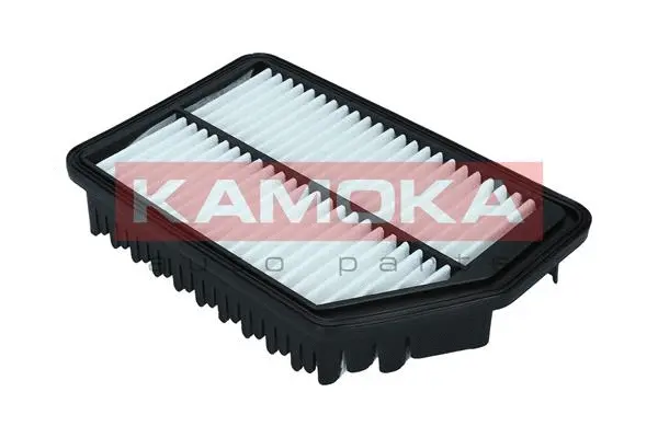 Air Filter (F247401)