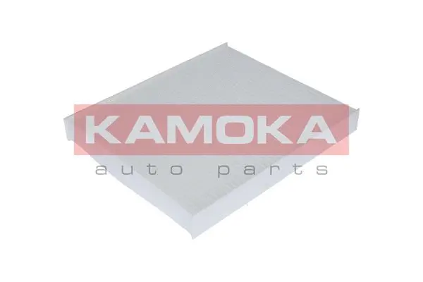 Filter, cabin air (F402001)