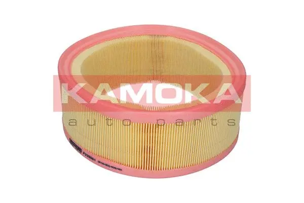 Air Filter (F235501)