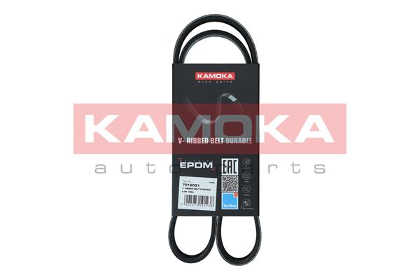 V-Ribbed Belt (7016031)