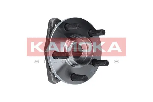 Wheel Bearing Kit (5500055)