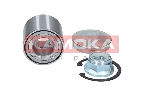 Wheel Bearing Kit (5600067)