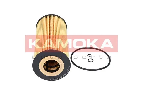 Oil Filter (F102601)