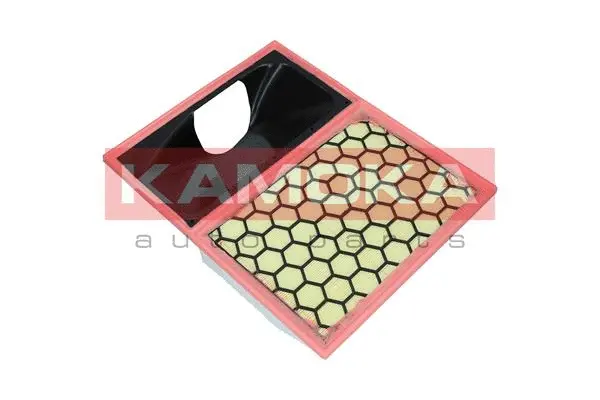 Air Filter (F253501)